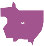matogrosso
