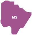 matogrossodosul