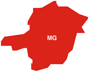 minasgerais